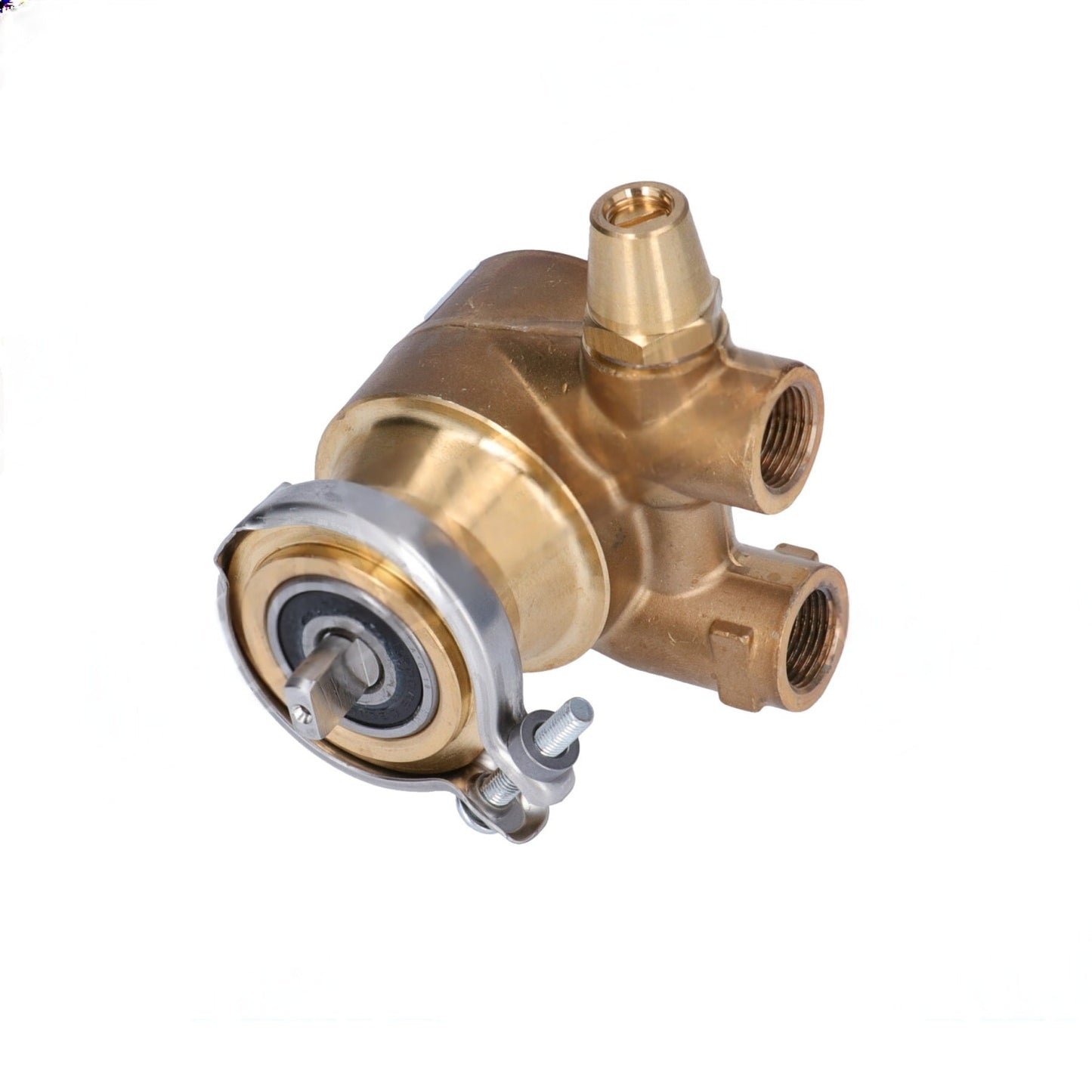 Nuert Rotary Vane Water Pump (50L/h)